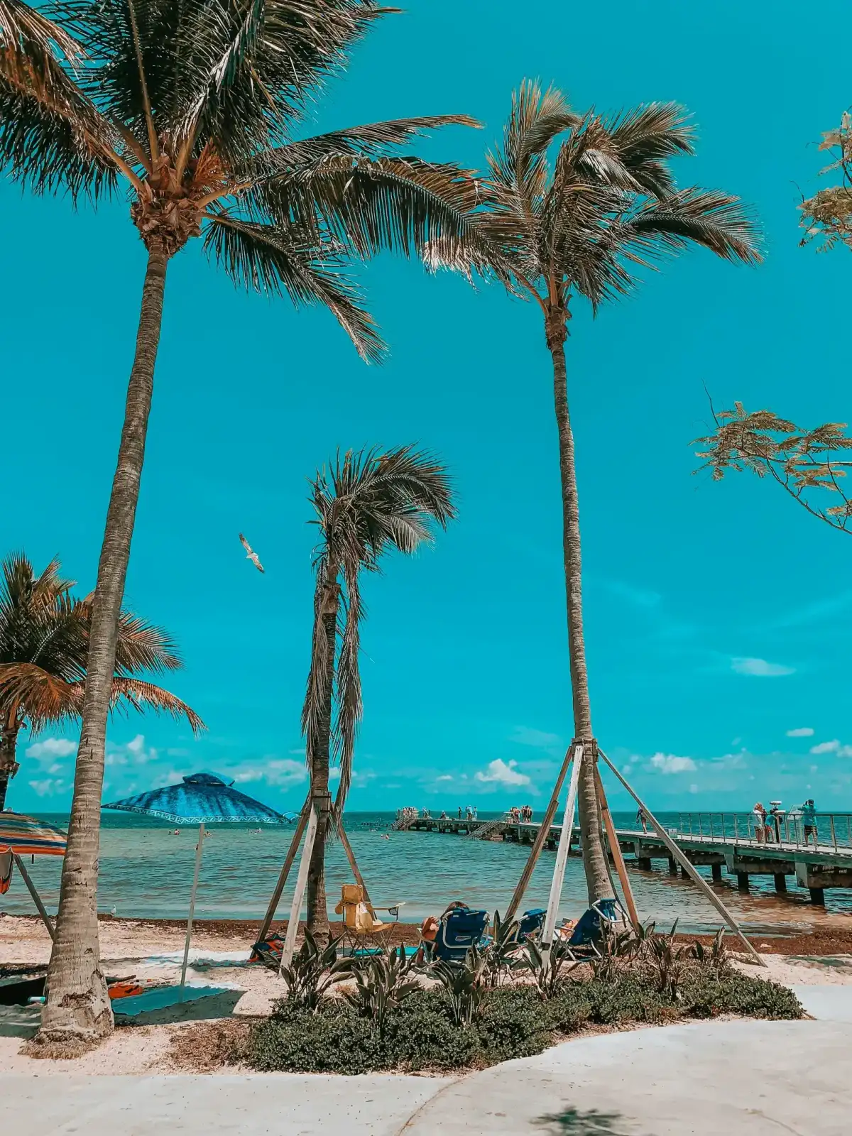 Cost segregation guide