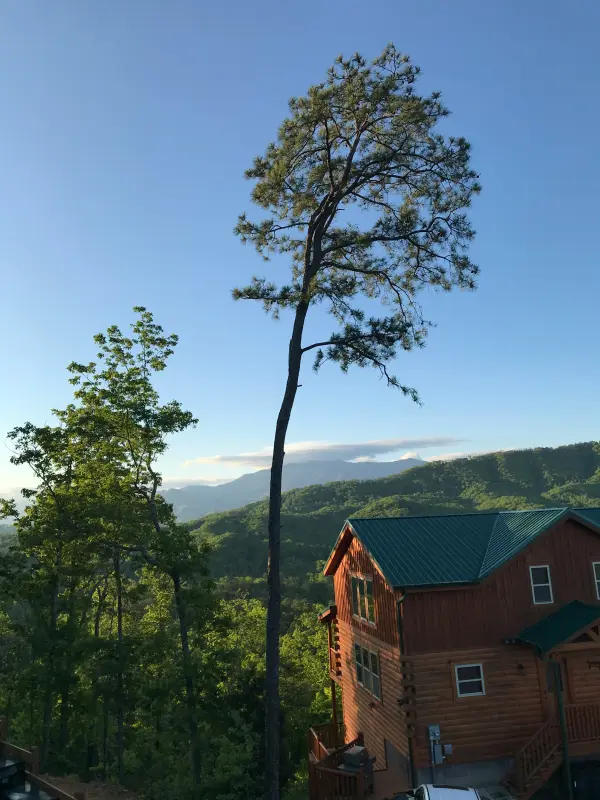 Investment property in Gatlinburg, TN