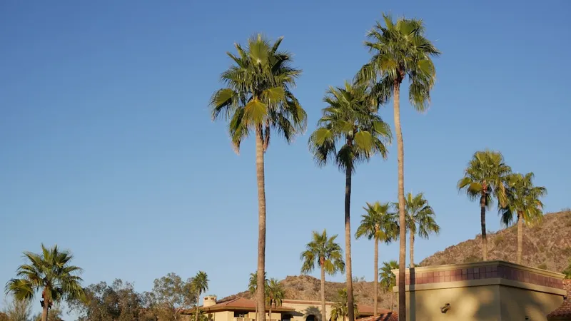 Phoenix 12-unit garden apartment — example property